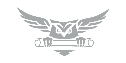 Национальная Юридическая Сеть · логотип (LOGO)